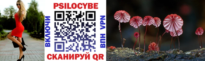 Псилоцибиновые грибы Psilocybe Кувандык
